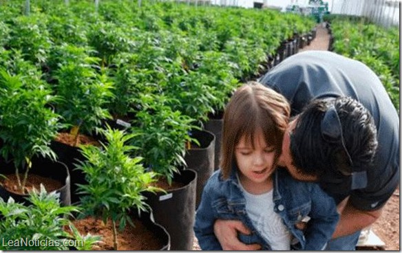 marihuana medicinal para niños