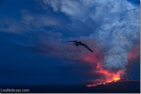 Erupciona el volcán Wolf en las islas Galápagos