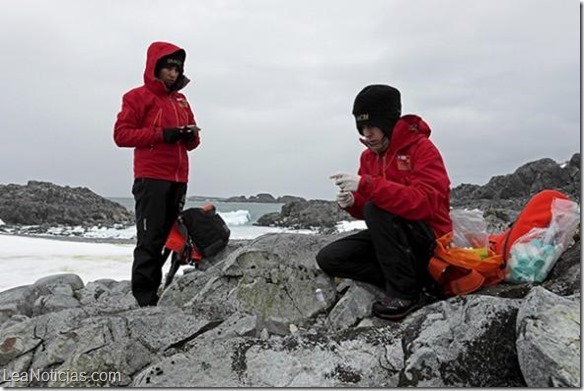 Estudian bacterias antárticas para combatir enfermedades resistentes