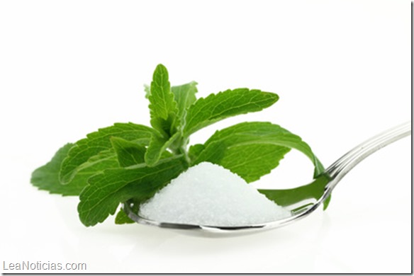  Fresh Stevia Rebaudiana and sugar in a spoon