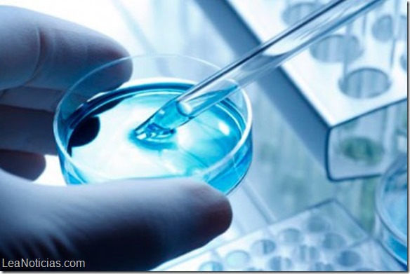 Laboratorio crea espermatozoides humanos in vitro