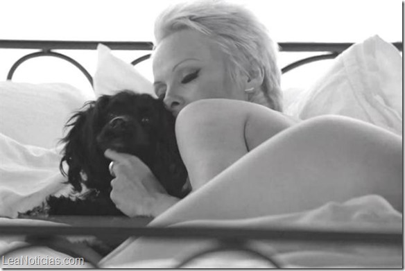 Pamela Anderson se desnuda en defensa de los animales