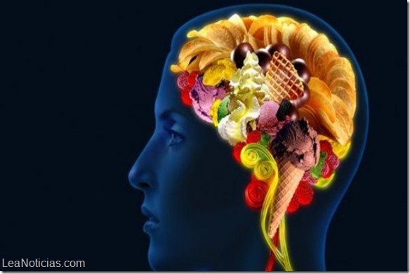 Por qué nuestro cerebro ama la comida chatarra
