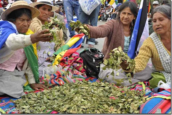 Cocaleros bolivianos ofrecerán al Papa Francisco un pastel a base de harina de coca