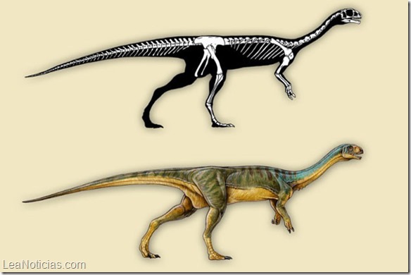 Descubren nueva especie de dinosaurio tras estudiar fósiles olvidados durante décadas