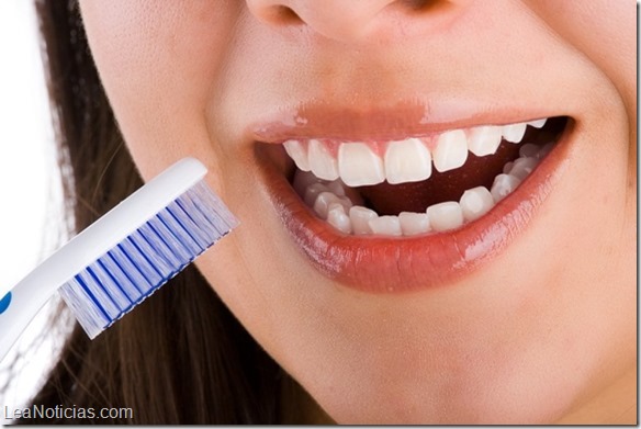 Encuentran caca en el 60 % de los cepillos de dientes de baños compartidos