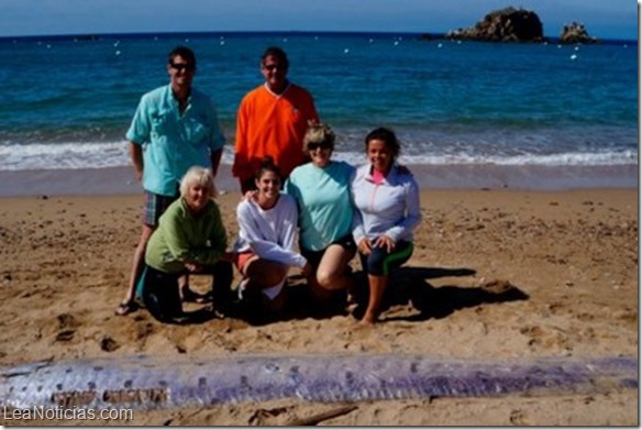 Hallan monstruo marino de 5 metros muerto en una playa