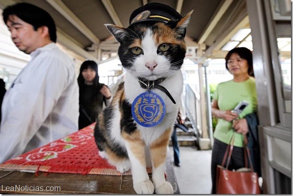 Japón llora la muerte de Tama, la gata jefa de una estación de policía