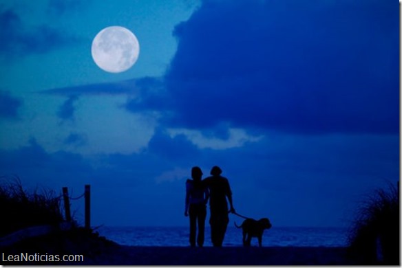 La Luna también afecta el comportamiento delas mascotas