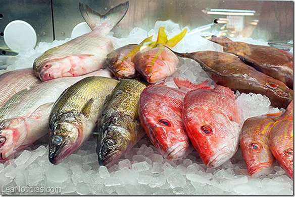 Pescado azul y pescado blanco, conoce sus diferencias