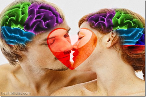 Cómo funciona el cerebro de una persona enamorada
