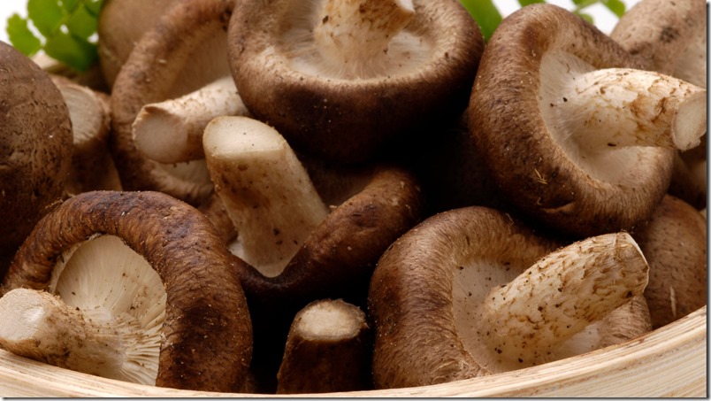 hongo-shiitake-prostata