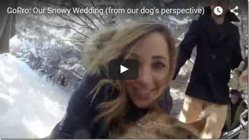 Le ponen una GoPro a su perra el día de su boda… y el video es ¡impresionante!