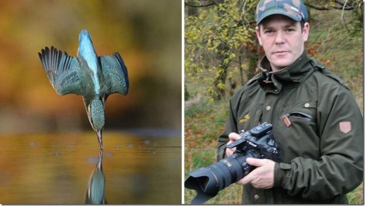 perfect-kingfisher-dive-photo-wildlife-photography-alan-mcfayden-34