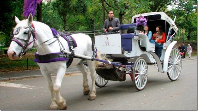 Adiós a los paseos en carruaje por las calles de Nueva York