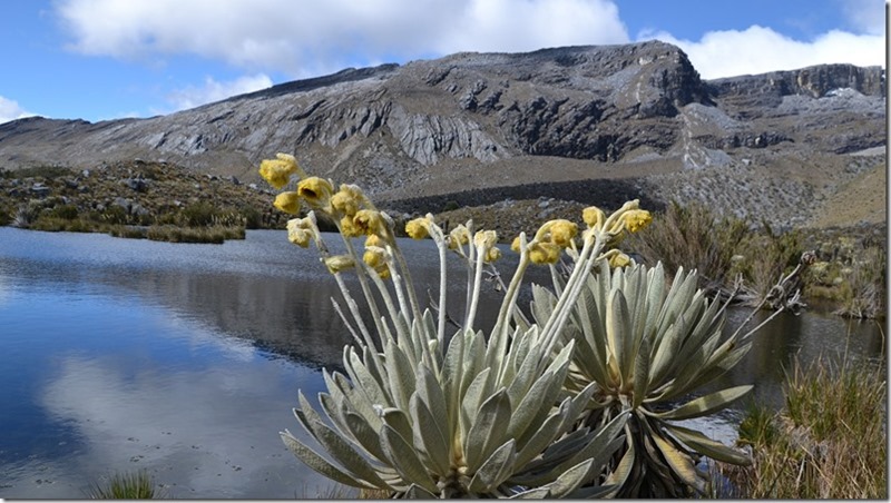 colombia-pais-mas-eliz-del-mundo-2