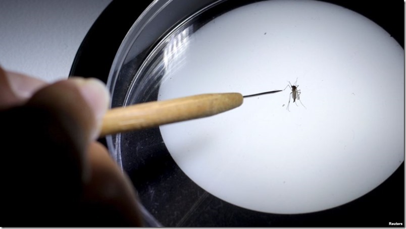 Obama pide desarrollo de un tratamiento para el Zika