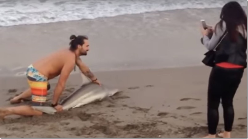 Selfie con tiburon bebe en playa de florida