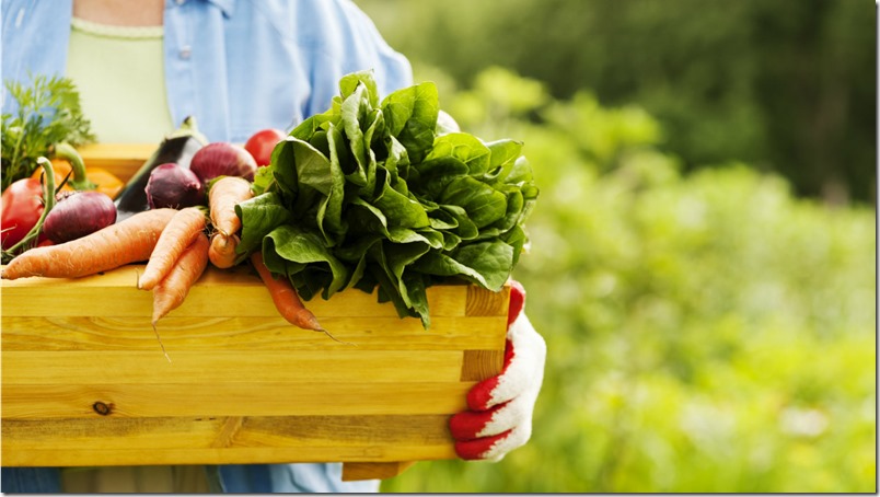 Los alimentos orgánicos son más nutritivos, aparecen nuevas evidencias