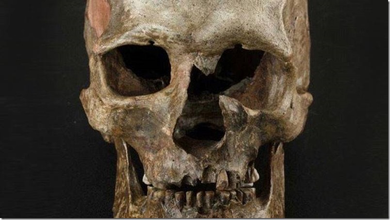Los verdaderos europeos desaparecieron hace 14.500 años
