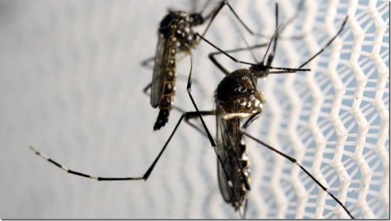 Descubren el Zika en la saliva y la orina
