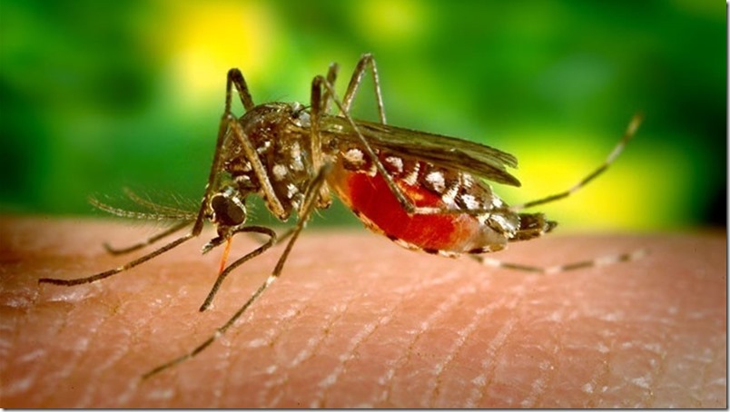 Colombia asegura que Venezuela guarda silencio epidemiológico sobre el zika