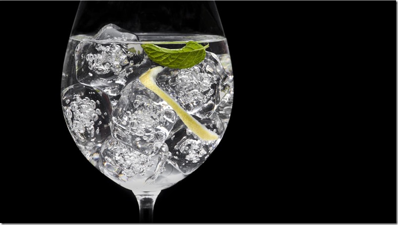 Gin Tonic: La bebida que siempre está de moda