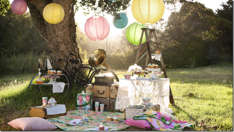 picnic perfecto - dia de campo- comer al aire libre - 4
