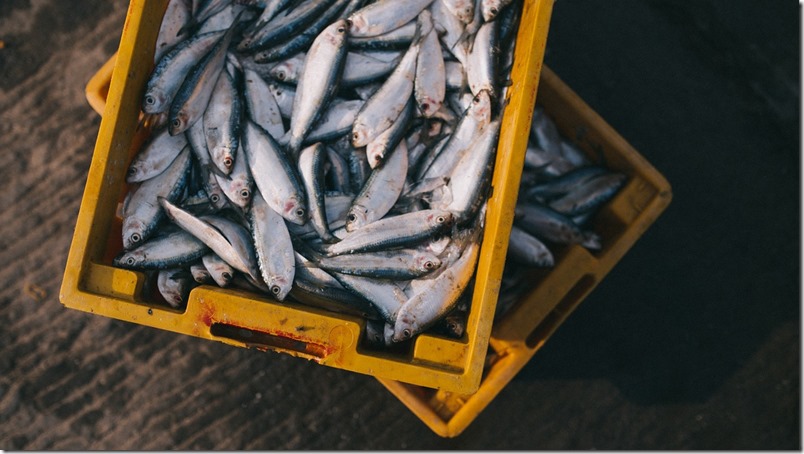 Alimentos cuidado de la piel - Pescado