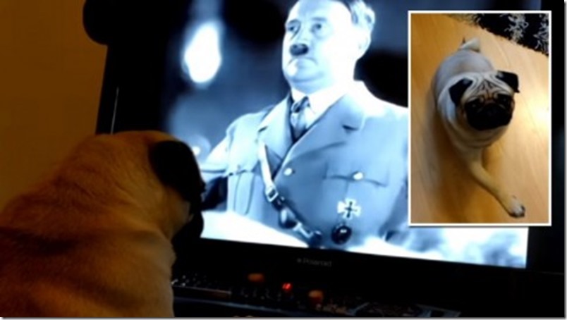 Preso por enseñar a su perro a hacer el saludo Nazi (video)