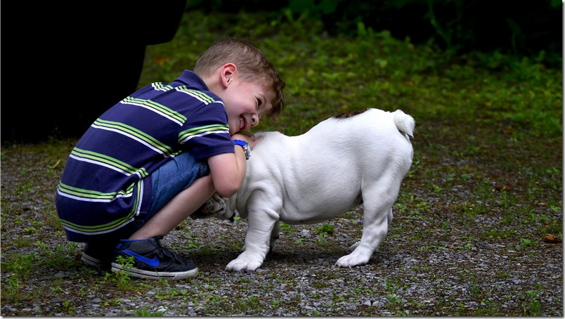 Estos son los beneficios de regalarle una mascota a tu hijo