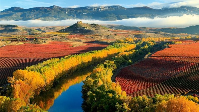 España: Todo lo que debemos saber sobre la comunidad de La Rioja