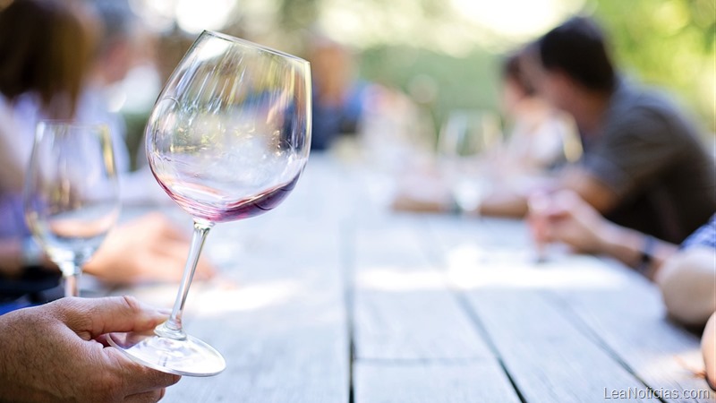 Claves para entender y apreciar un buen vino (debes conocerlas)