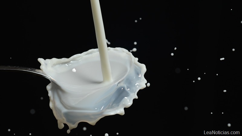 Todo lo que querías saber sobre la guerra de precios de la leche en España