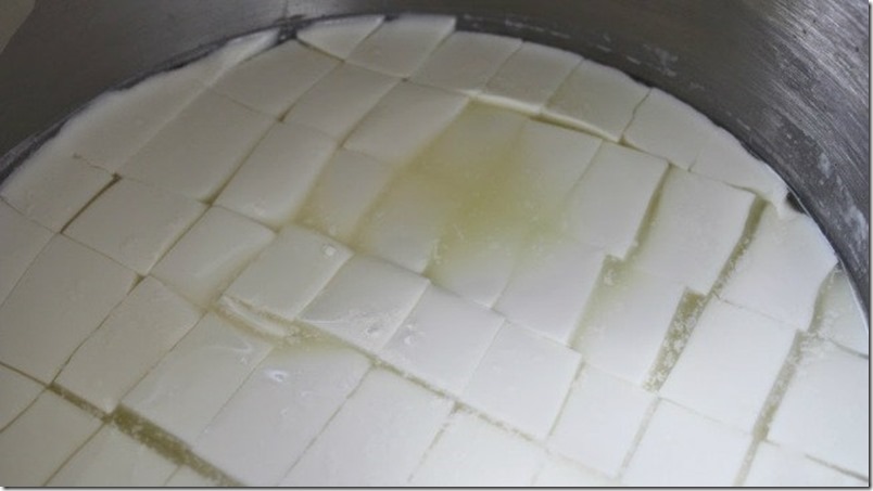 como-hacer-queso-blanco-venezolano-4