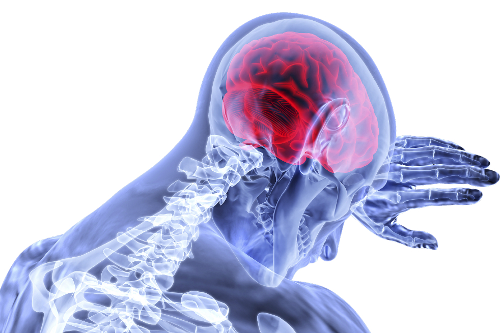 Científicos encuentran posible método para recuperar memoria en pacientes con alzheimer