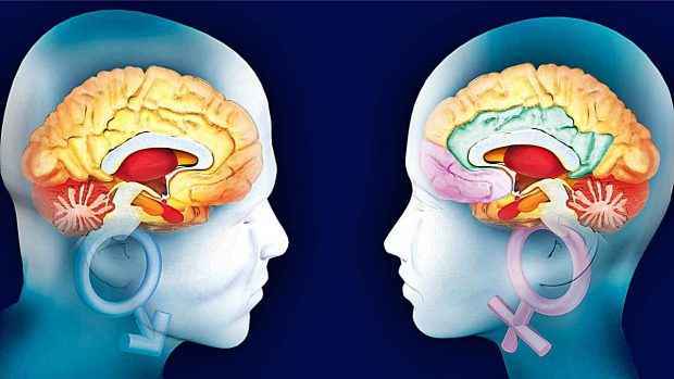 Cerebro de la mujer es 3 años más joven que el del hombre