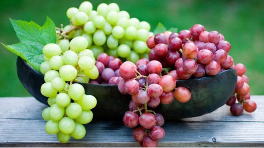 Conozca los beneficios de la uva