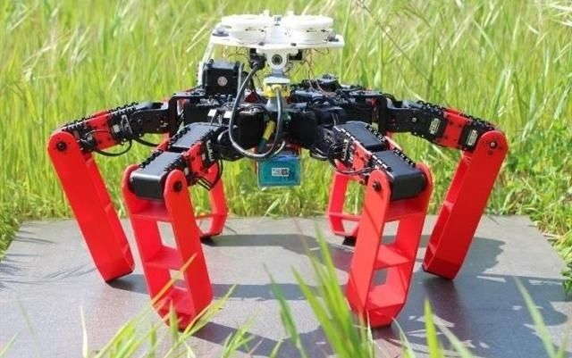 Científicos crean el primer robot andante similar a una hormiga sin GPS