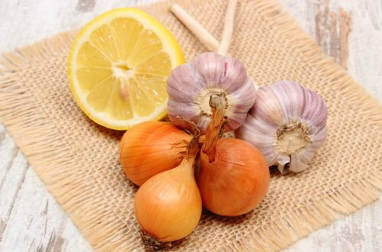 Ajo y cebolla, aliados para reducir el riesgo de cáncer colorrectal