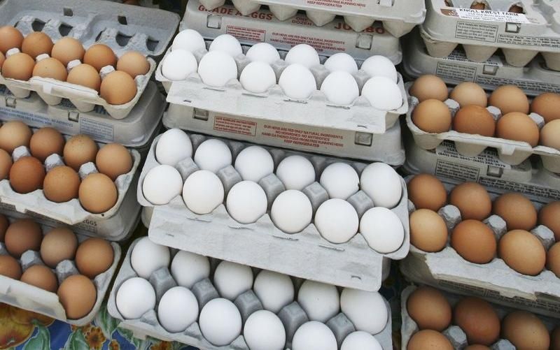 ¿Los huevos son buenos o malos para ti? Nueva investigación reaviva el debate
