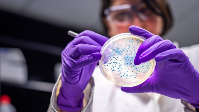 Aparece en Europa una suberbacteria resistente a los antibióticos