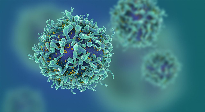 Científicos logran eliminar el VIH del genoma de animales vivos