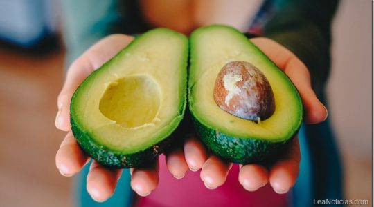 Cinco beneficios del aguacate para la salud