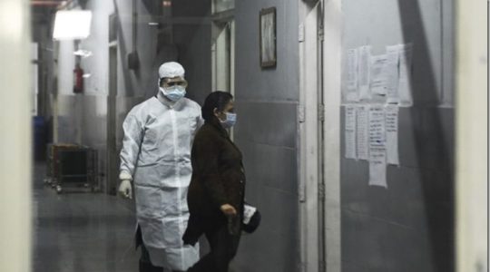 Laboratorio chino experimenta con éxito, en monos, una vacuna contra el coronavirus