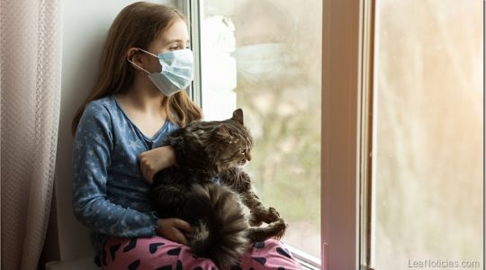 Dos gatos en Nueva York son las primeras mascotas con coronavirus confirmado en EE.UU.
