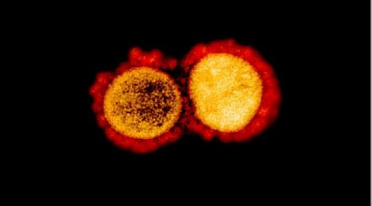 El coronavirus podría haber mutado y tener sus cepas más peligrosas en EEUU y Europa