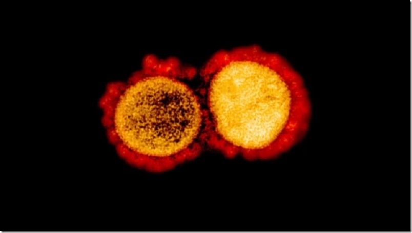 mutacion-coronavirus