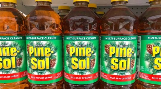 Clorox retira 37 millones de botellas de su desinfectante Pine-Sol que podrían contener bacterias