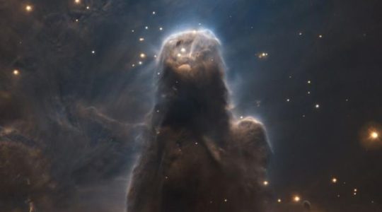 Revelan imagen de la «monstruosa» Nebulosa del Cono, una «fábrica de estrellas»